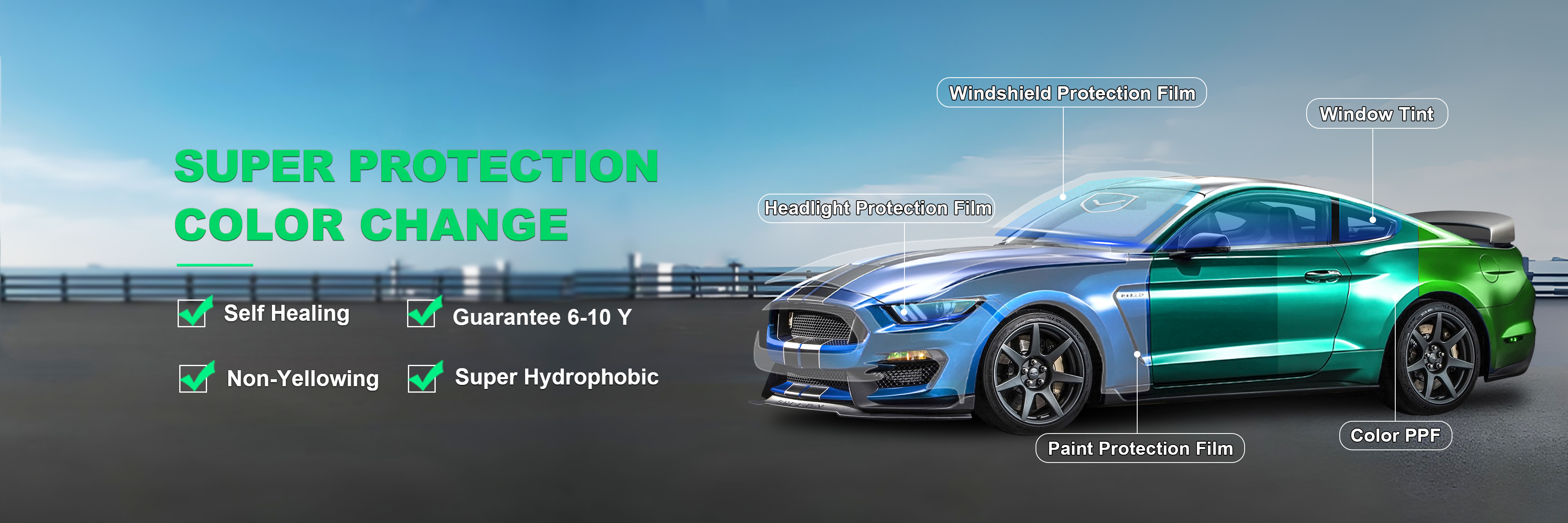 Qualität Glanzfarbschutzfolie usine